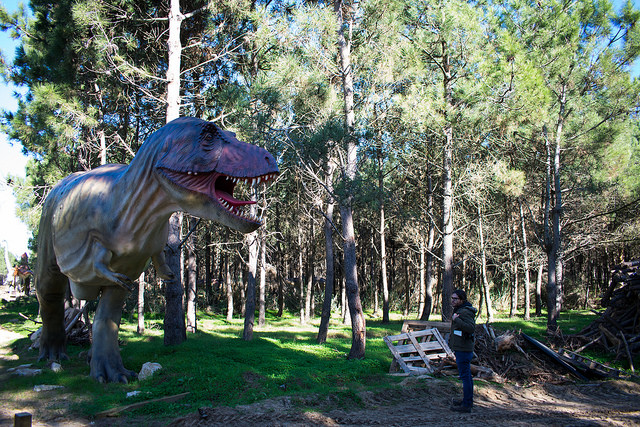 Tiranossauro rex ainda "careca" sem as penas | Foto: Giuliana Miranda/Folhapress